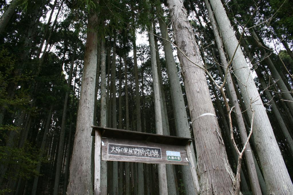 Ryokan Yumoto Onsen Oharasansou Kyōto