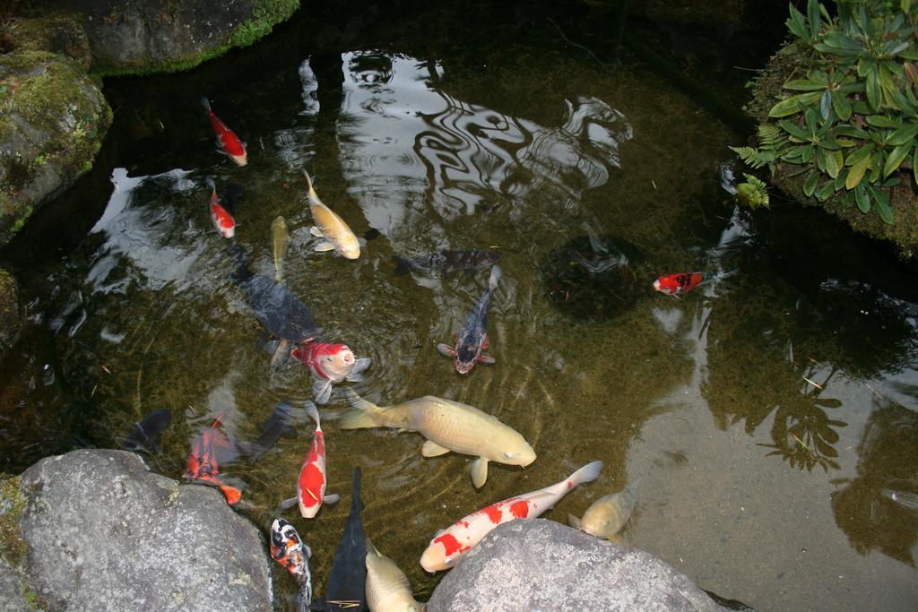 Ryokan Yumoto Onsen Oharasansou Kyōto